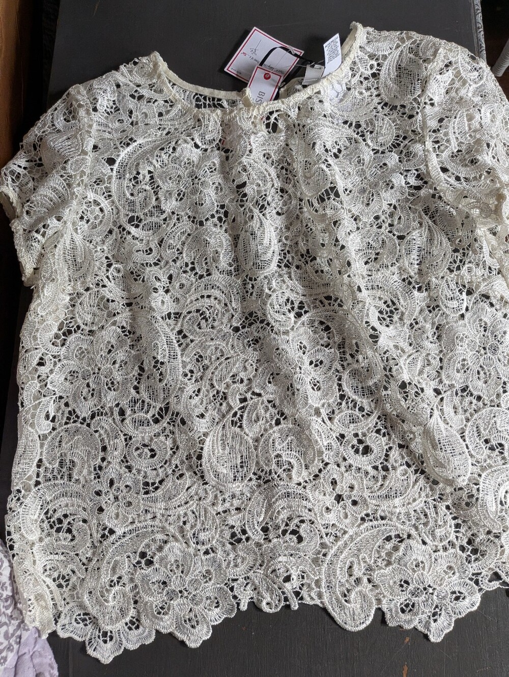 Bisou Bisou Cream Lace Short Sleeve Blouse